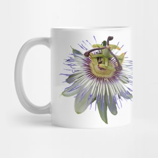 Passion Flower Close Up Mug